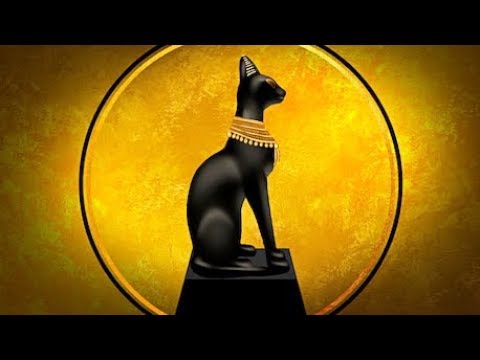 Museo Egizio Di Torino La Mummia Gatto I Gatti Mummificati Il