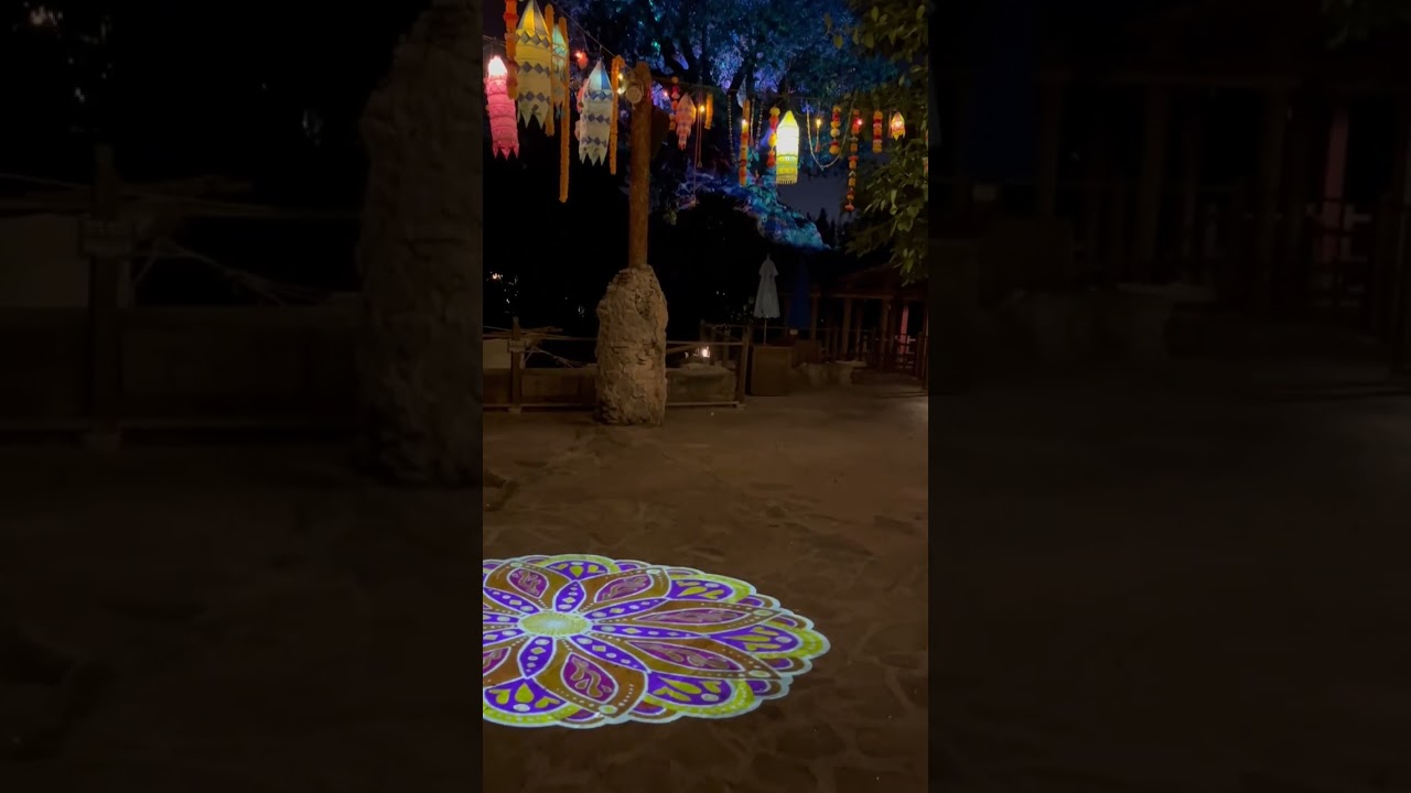 Animal Kingdom at night!