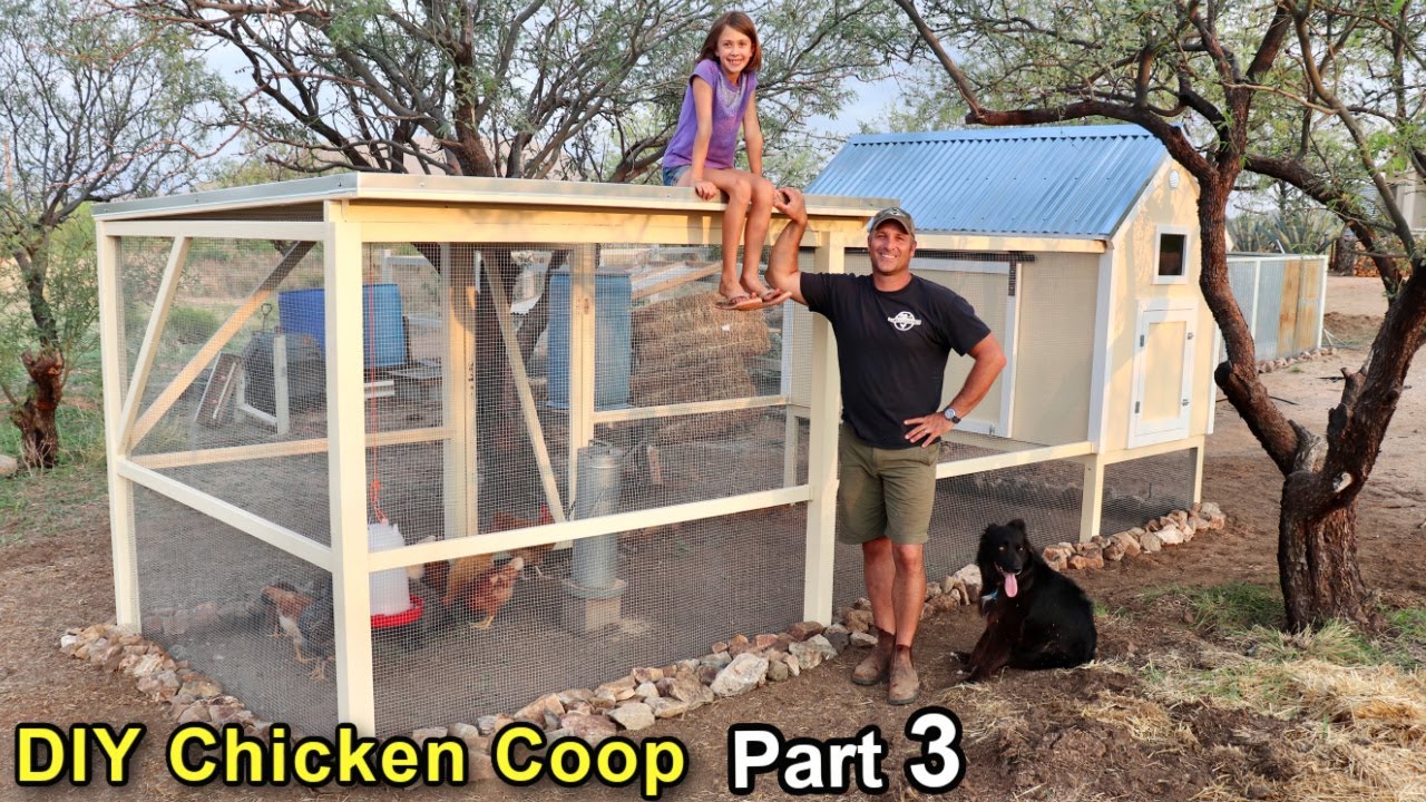 Building DIY Chicken Coop Build Part 3 (Coop Run) YouTube