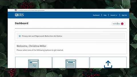 1099 Filings using IRIS