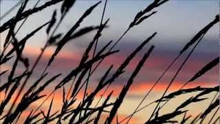 Pink Floyd - Fat Old Sun