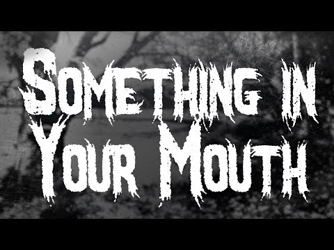 NICKELBACK - SOMETHING IN YOUR MOUTH / LYRICS