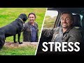 A day in the life of Richard Hammond!