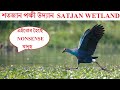 Satjan wetland  birding vlog  