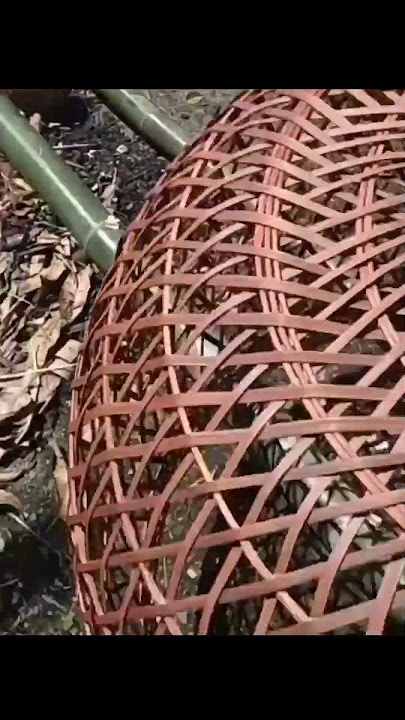 Thai chicken coop