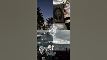 تلاوه القران الكريم بصوت القارئ ابراهيم ابو زيد ❤️