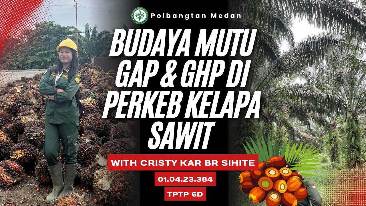“BUDAYA MUTU GAP & GHP DI PERKEBUNAN KELAPA SAWIT 🌴” 