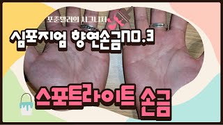 포춘텔러의 시그니처,심포지엄 향연손금NO.3/봉황이 기러기때 같이 날개를 펼치는 모양의 손금/그림자로 살던 인생이 무지개빛깔 존재감으로 나타나는 스포트라이트 손금