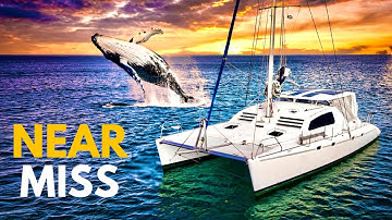 WHALES SURROUNDED our boat! | Sailing to Tonga [RED SEAS]