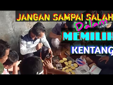 Cara Memilih Kentang Yang Bagus Youtube