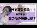 【髪の毛の特徴とは？】5分で基礎知識【美容師ケミカル】