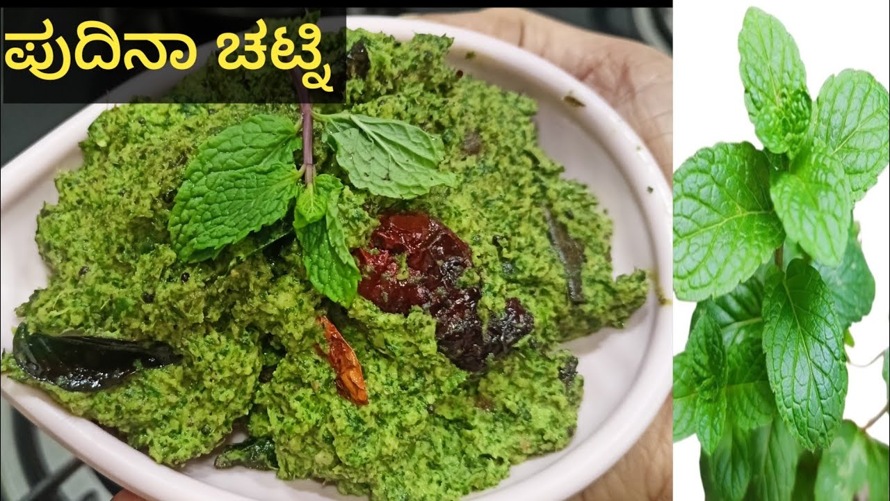 ಬಾಯಲ್ಲಿ ನೀರೂರಿಸುವ ಪುದಿನಾ ಚಟ್ನಿ/ಅನ್ನ, ರೊಟ್ಟಿ,ಚಪಾತಿ,ಜೊತೆಗೆ ತುಂಬಾ ರುಚಿಯಾಗಿರುತ್ತದೆ