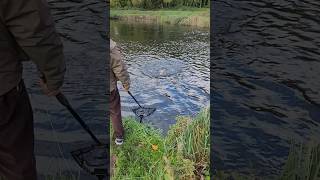 Rockbourne Trout Fishery - Did Dave loose the biggest Trout of the day 🎣🐳 #flyfishing #fishing