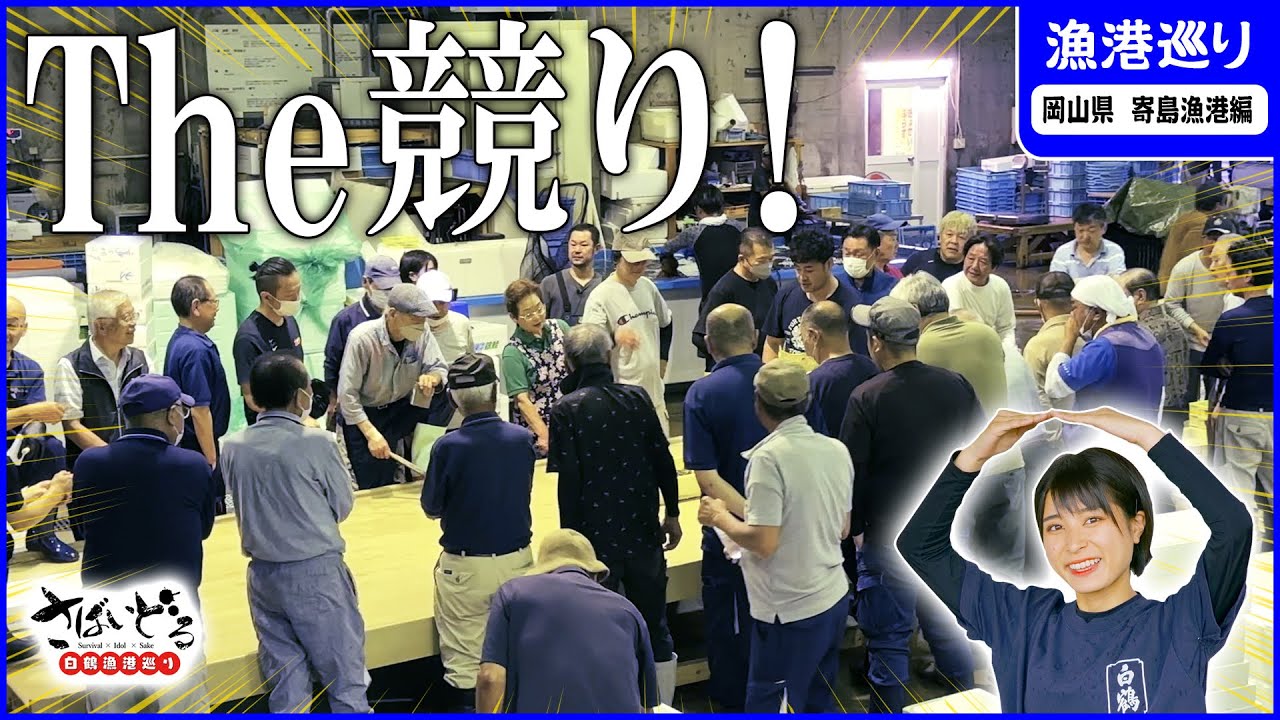 これぞ、競り！岡山随一！寄島漁港の朝競りにかほなんが潜入！【白鶴漁港巡り】