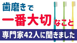 【専門家42人に聞きました】歯磨きで一番大切なこと【ワンポイントアドバイス集】