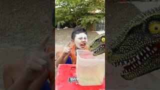 Download Lagu Dino katauan minum esku #shorts #fyp MP3