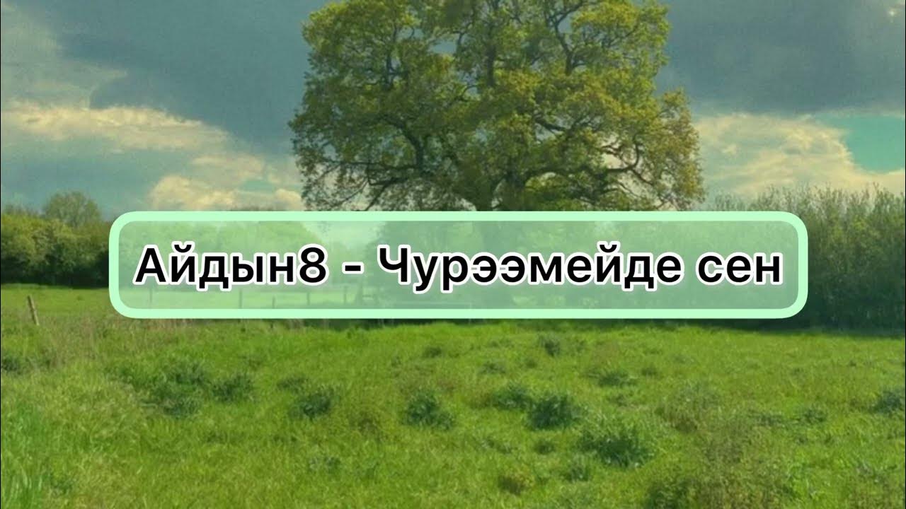 амырга моос. анчы салчак тамада. гитаристы тувинские. чурээм тып аар. чурээм тып аар.