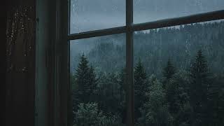 ASMR White Noise Music | Rain in the Forest - Healing your Soul, Beat Insomnia