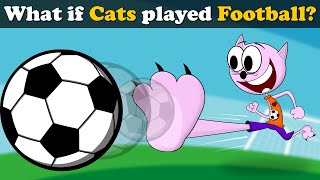 What if Cats played Football? + more videos | #aumsum #kids #science #education #whatif