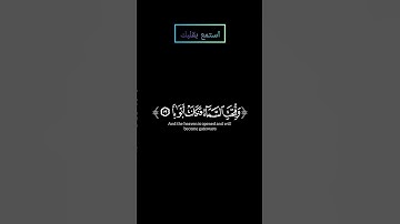 سورة النبأ (إن يوم الفصل كان ميقاتا) بصوت #ياسر_الدوسري #قرآن #قران_كريم
