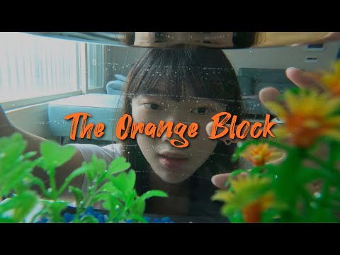 흔한 미컴 2학년의 영상 기말과제 "The Orange Block"