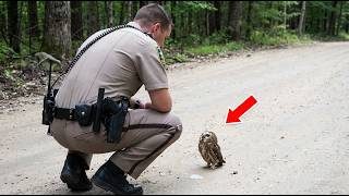 SOVICA je molila za POMOĆ, a onda su shvatili RAZLOG i ostali U ČUDU! 😯