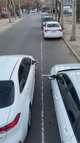 These parking skills really work and are easy to learn!