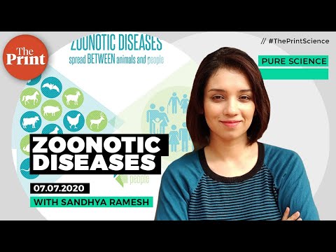 Video: Sumali Ang Plague Sa Listahan Ng Mga Sakit Na Zoonotic Na Dapat Abangan