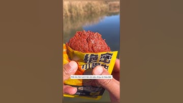 Mồi câu tôm tươi trộn sẵn #cauca #fishing #docauca