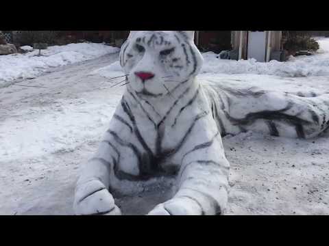 Awesome Tiger Made of Snow!!