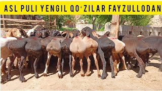 FAYZULLODAN QAYTARILMAS NARXLAR TUSHTI SHOSHILAMIZ