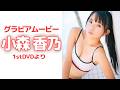眩しすぎる白ビキニと“あの水着”姿に釘付け!!/小森香乃1stDVD