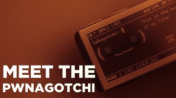Building The Pwnagotchi... UNSCRIPTED (FULL BUILD)