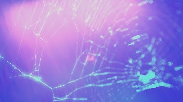 Occultation Astrocytes by Jeff Jahn (Official Video)