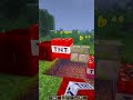 Minecraft realistic grave shorts