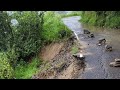 condition of road due to heavy rainfall in Himachal