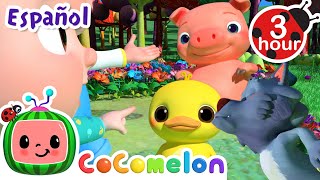 Cerdo! Lobo! Pato! ¡Todos cantan juntos! | CoComelon y los animales 🍉| Dibujos para niños by CoComelon y Animales - Canciones infantiles 13,826 views 2 weeks ago 2 hours, 59 minutes