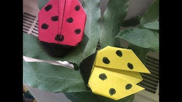 SD38 Math Studio Series: Origami Ladybug