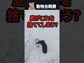 つのを捨てる鹿