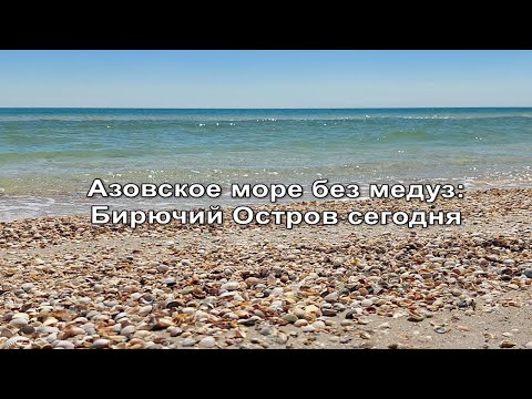 Азовское море без медуз: Бирючий Остров сегодня