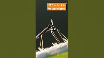 EEE Case in Massachusetts | Eastern Equine Encephalitis (EEE)  thumbnail