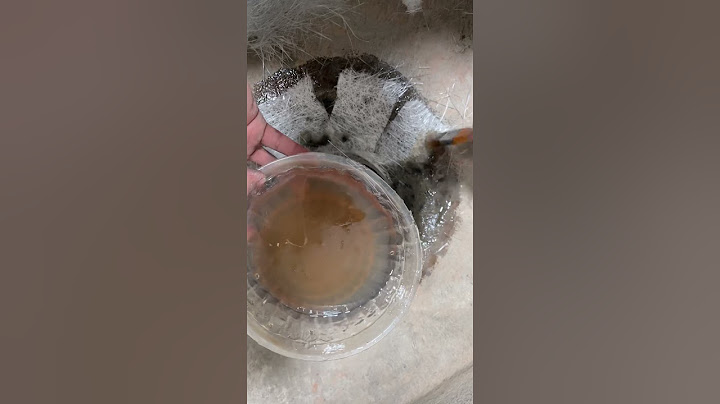 Hướng dẫn chống thấm bằng composite