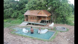 Amazing strange ! I build daily : build the most beautiful swimming pool for cows .