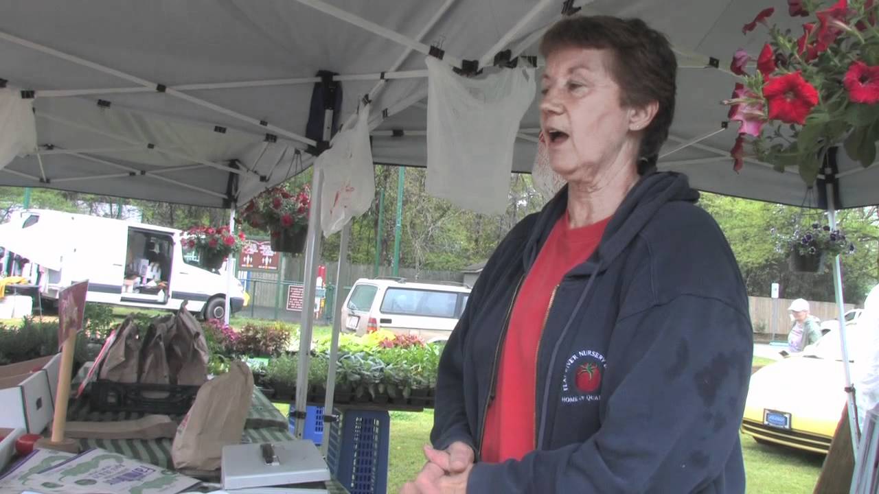 dth live tv apk Carrboro Farmer's Market