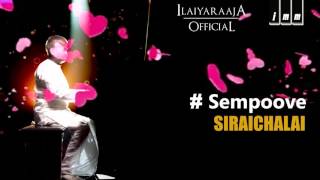Download lagu Siraichalai  Sempoove  Ilaiyaraaja  Prabhu, Tabu  Spb, K.s Chithra Mp3 Video Mp4