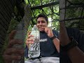 জাপানে রাস্তার পাশের পার্কের ট্যাপের পানি খাওয়া যায়? Tap Water in Japan!