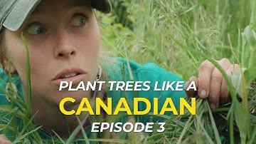 Episode 3 - How to Plant Trees like a Canadian | One Tree Planted