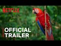 Life in color with david attenborough  official trailer  netflix