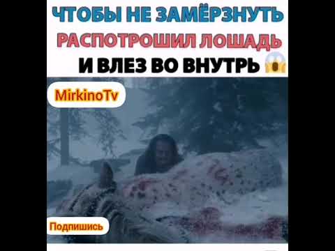 Чтобы не замёрзнуть распотрошил лошадь и влез во внутрь