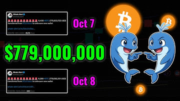 Another $779 Million Bitcoin Transfer?! Whale Alert
